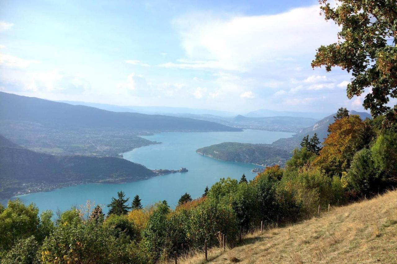 The Azalea Beautiful Quiet For 4 People! Vakantiehuis *